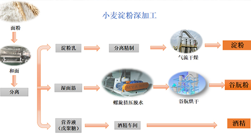 邁安德承建60萬噸小麥淀粉精深加工項目